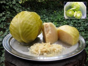 eingelegtes-fasssauerkraut-kopie