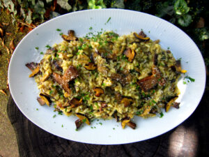 Pilzrisotto