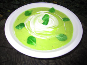 Avocadosuppe
