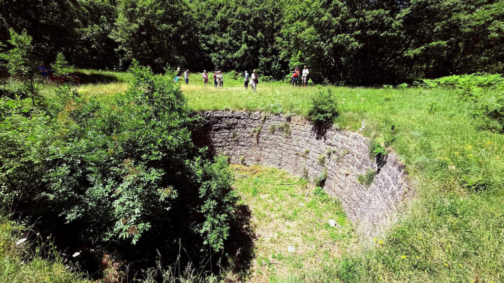 90e3e612-3f5b-465c-ad70-949aa0e11388
